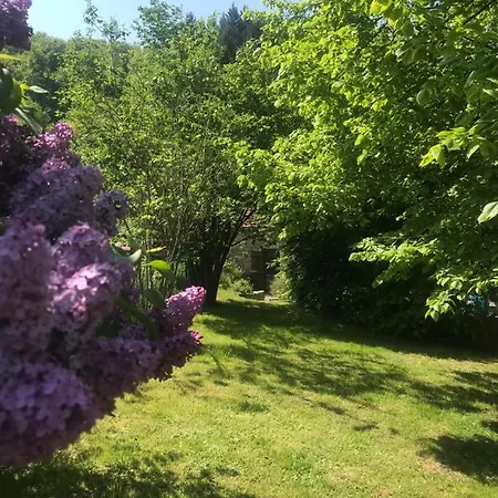Hébergement de vacances Gîtes de Combris : Le Dorjé